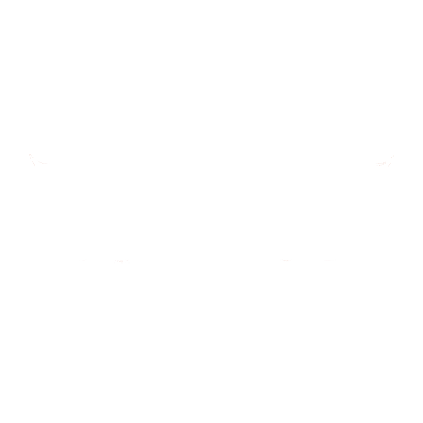 Bad Boy