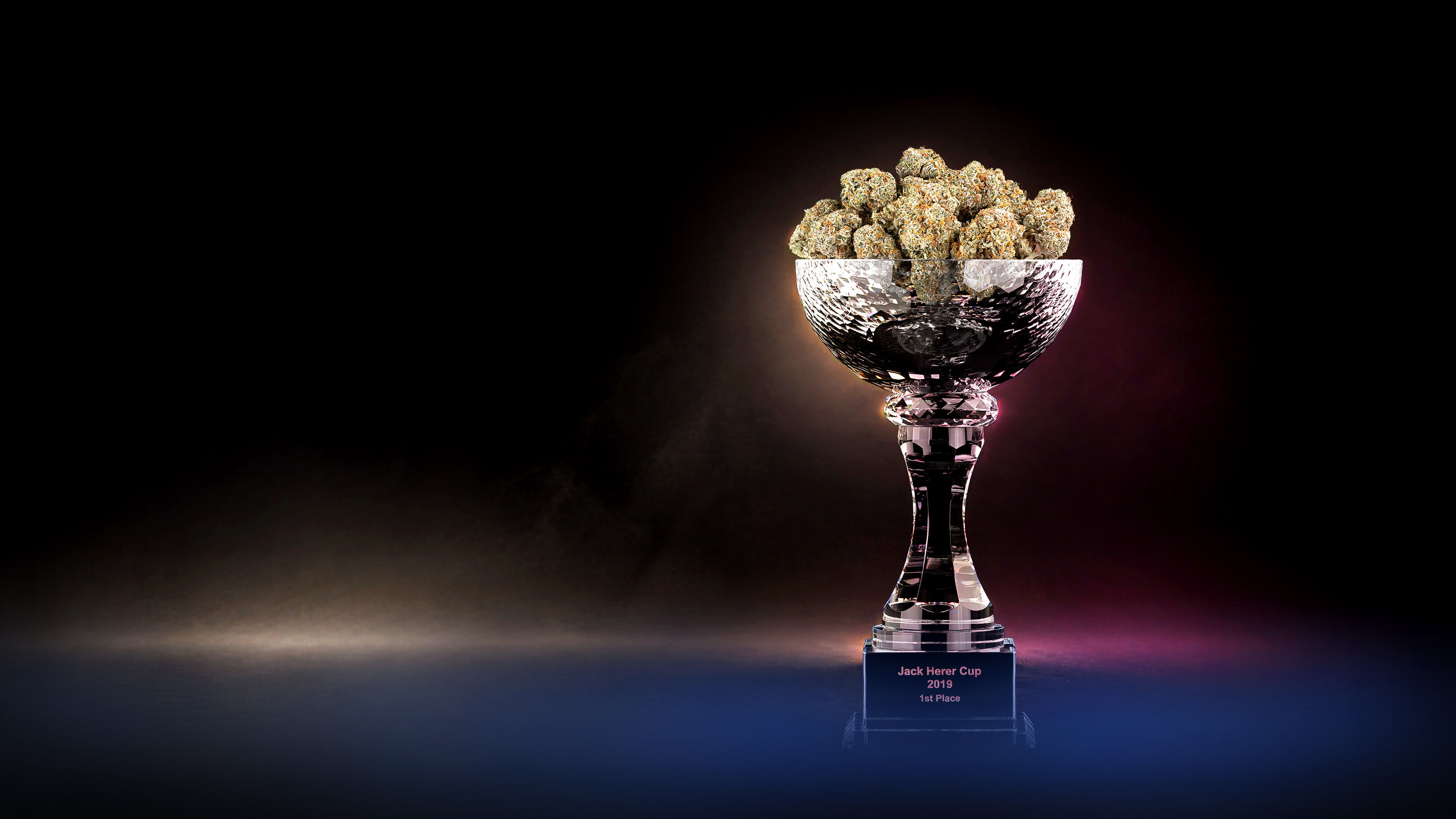 Jack Herer Cup hero still.
